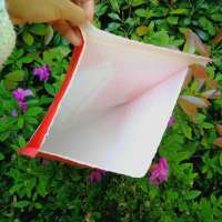 Certified 100% Biodegradable Bubble Mailer Compostable Bubble Mailing Bags